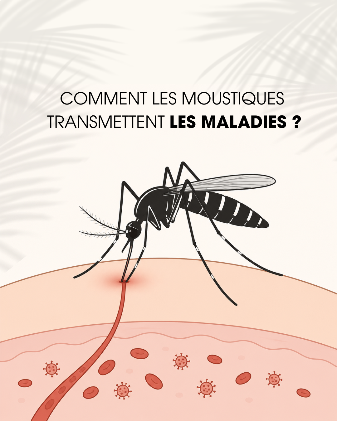 Comment les moustiques transmettent-ils les maladies ? Comprendre les maladies vectorielles
